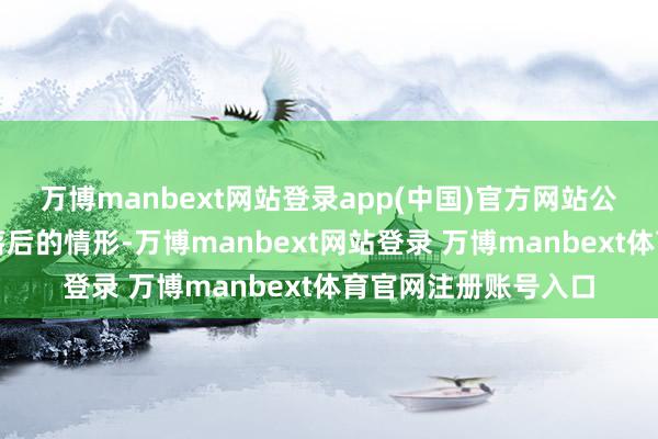 万博manbext网站登录app(中国)官方网站公司不存在对外担保落后的情形-万博manbext网站登录 万博manbext体育官网注册账号入口
