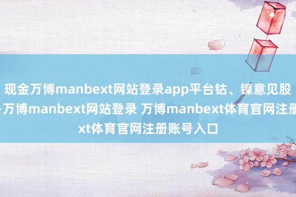 现金万博manbext网站登录app平台钴、镍意见股确认亮眼-万博manbext网站登录 万博manbext体育官网注册账号入口